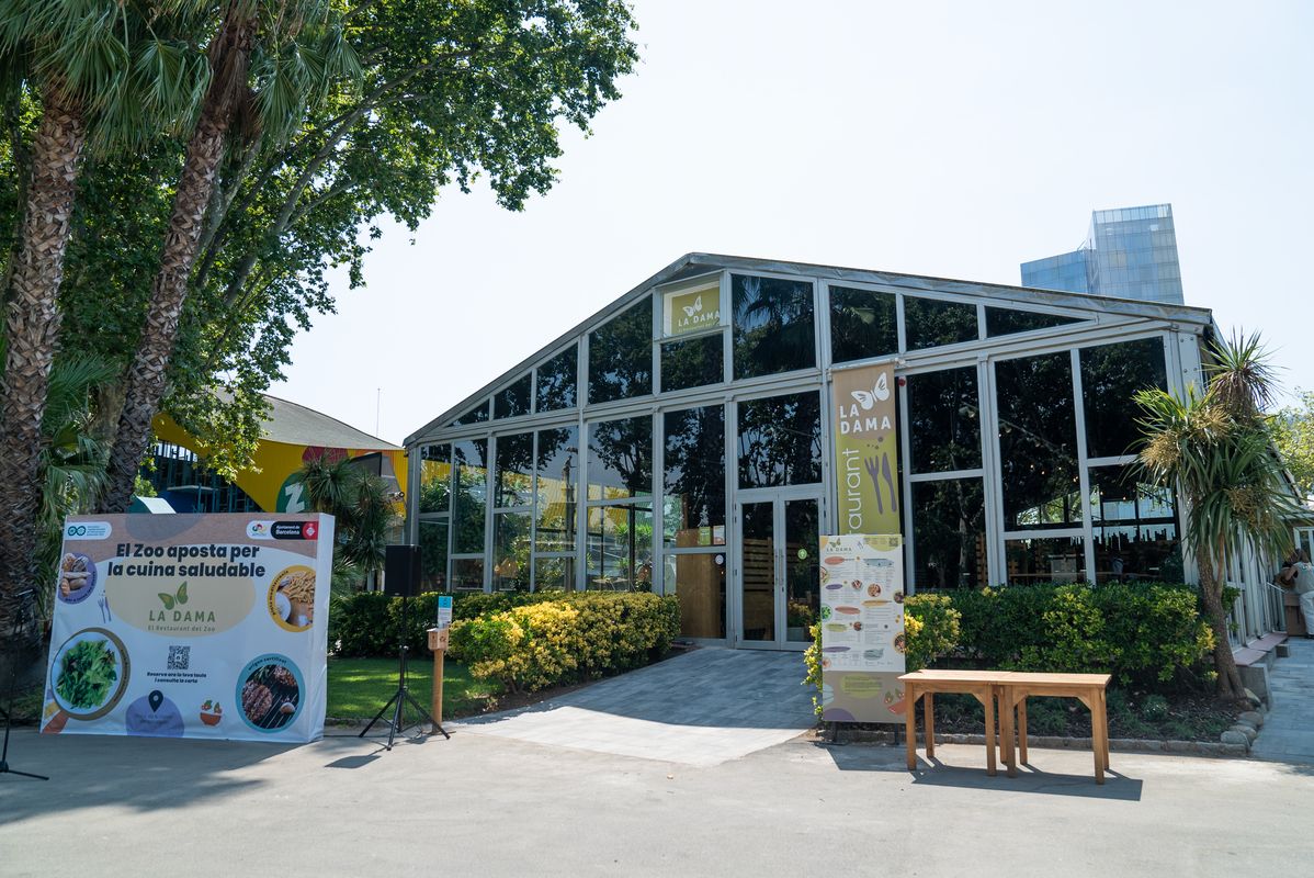 <div class='imageHoverDetail'>
             <p class='imageHoverTitle twoLineBreak'>Restaurant La Dama, del Zoo de Barcelona</p>
             <p class='imageHoverAutor oneLineBreak'>Autor: Mariona Gil</p>
             <button class='imageHoverBtn'>Mostra els detalls de la imatge <span class='sr-only'>Restaurant La Dama, del Zoo de Barcelona</span></button>
             </div>