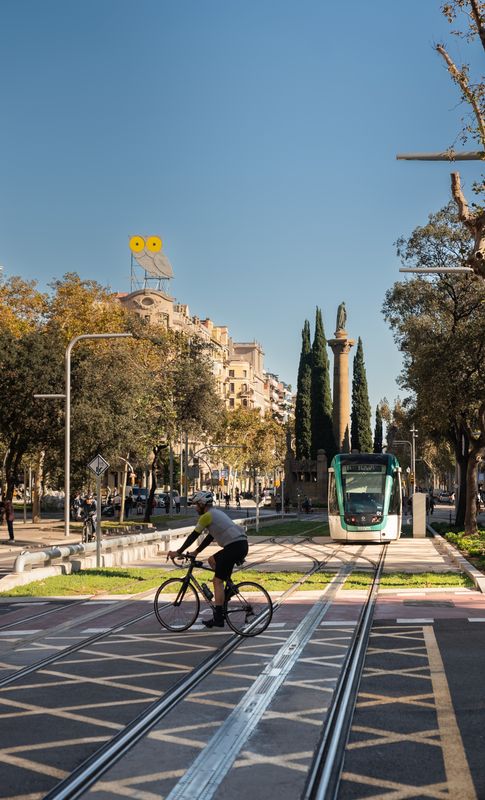 
             Un ciclista creua les vies davant d’un comboi del tramvia, amb la plaça Mossè...
             Autor: Lucas Amillano
             Mostra els detalls de la imatge Un ciclista creua les vies davant d’un comboi del tramvia, amb la plaça Mossè...
             