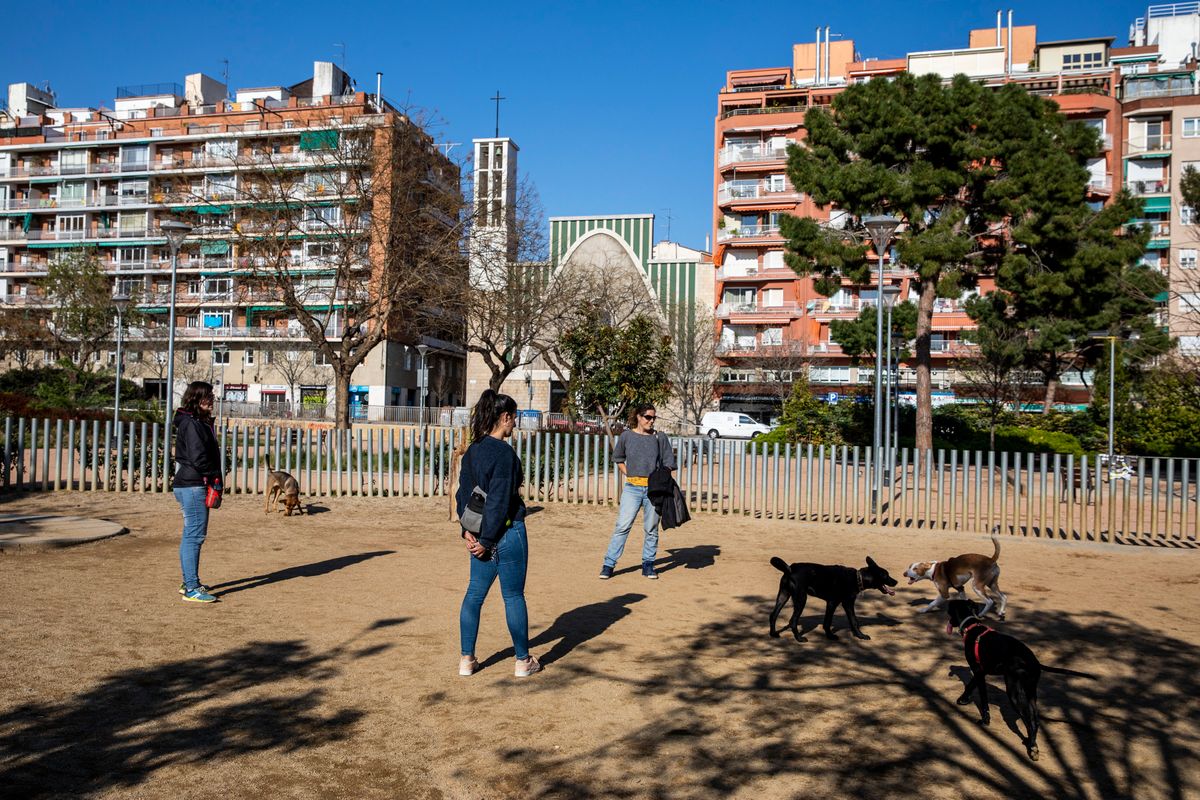 <div class='imageHoverDetail'>
             <p class='imageHoverTitle twoLineBreak'>Jardins de Can Mantega. Àrea reservada per a gossos amb els amos passejant el...</p>
             <p class='imageHoverAutor oneLineBreak'>Autor: Edu Bayer</p>
             <button class='imageHoverBtn'>Mostra els detalls de la imatge <span class='sr-only'>Jardins de Can Mantega. Àrea reservada per a gossos amb els amos passejant el...</span></button>
             </div>