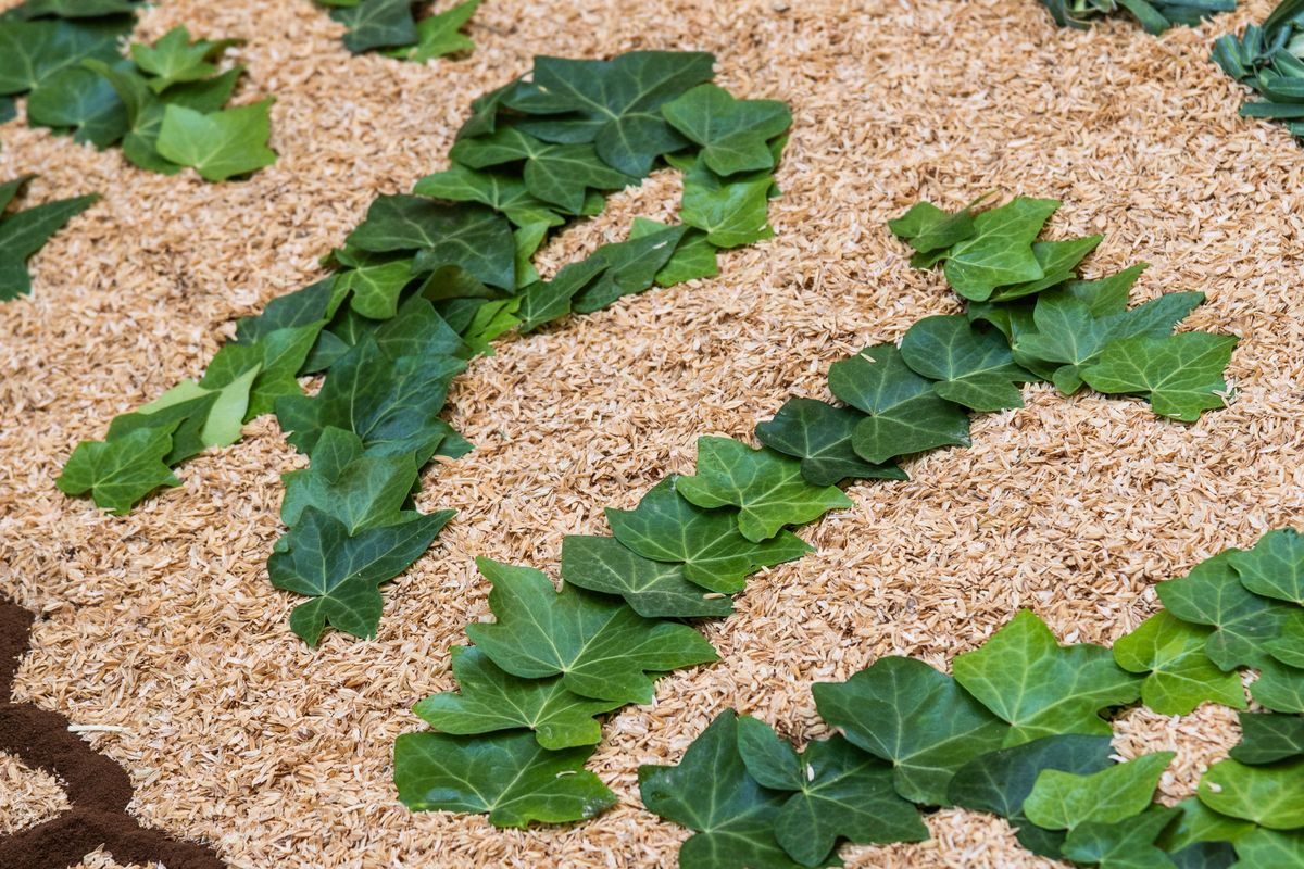 <div class='imageHoverDetail'>
             <p class='imageHoverTitle twoLineBreak'>Detall d'una part de la catifa floral del carrer de la Llibertat amb les llet...</p>
             <p class='imageHoverAutor oneLineBreak'>Autor: Eduard Pedrocchi</p>
             <button class='imageHoverBtn'>Mostra els detalls de la imatge <span class='sr-only'>Detall d'una part de la catifa floral del carrer de la Llibertat amb les llet...</span></button>
             </div>