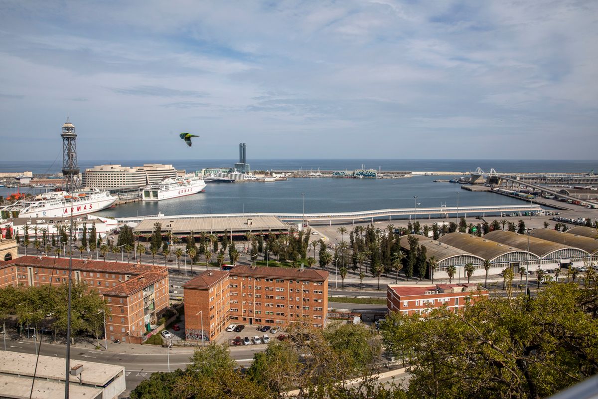 <div class='imageHoverDetail'>
             <p class='imageHoverTitle twoLineBreak'>Vistes de Barcelona des de Montjuïc amb el port i la torre del telefèric de J...</p>
             <p class='imageHoverAutor oneLineBreak'>Autor: Edu Bayer</p>
             <button class='imageHoverBtn'>Mostra els detalls de la imatge <span class='sr-only'>Vistes de Barcelona des de Montjuïc amb el port i la torre del telefèric de J...</span></button>
             </div>
