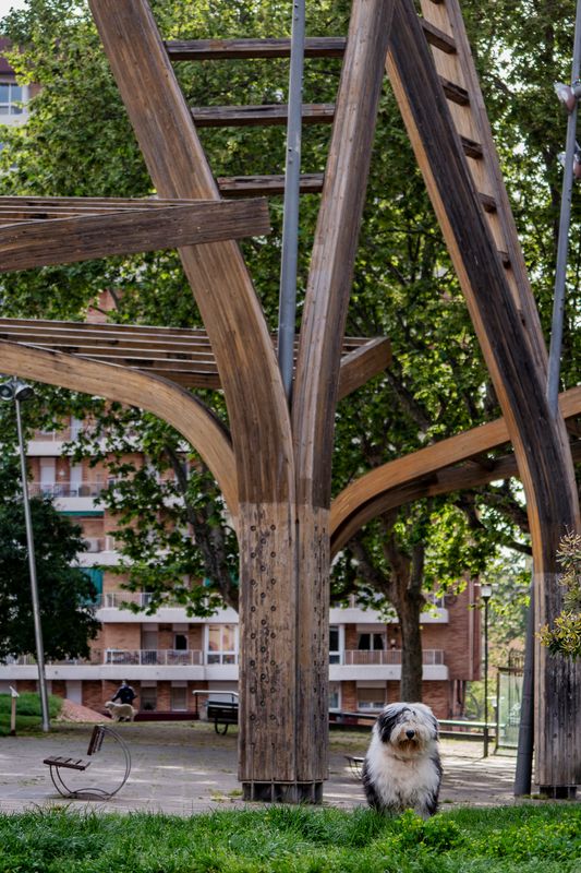 <div class='imageHoverDetail'>
             <p class='imageHoverTitle twoLineBreak'>Elements ornamentals de fusta i vidre al parc Central de Nou Barris prop dels...</p>
             <p class='imageHoverAutor oneLineBreak'>Autor: Laura Guerrero</p>
             <button class='imageHoverBtn'>Mostra els detalls de la imatge <span class='sr-only'>Elements ornamentals de fusta i vidre al parc Central de Nou Barris prop dels...</span></button>
             </div>