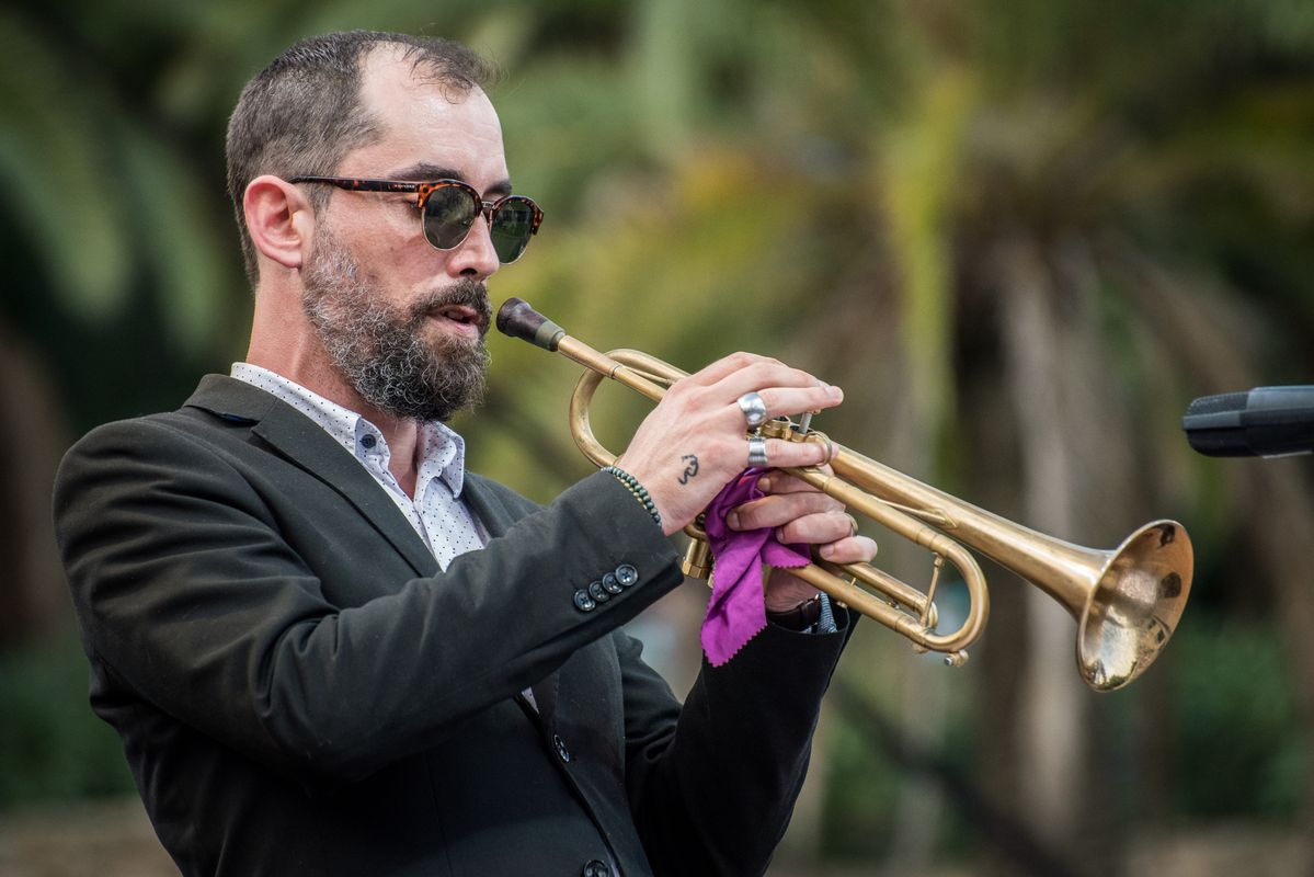 <div class='imageHoverDetail'>
             <p class='imageHoverTitle twoLineBreak'>El trompetista Raynald Colom durant el concert "Vozes & Ray Colom: Sketches o...</p>
             <p class='imageHoverAutor oneLineBreak'>Autor: Víctor Parreño Vidiella</p>
             <button class='imageHoverBtn'>Mostra els detalls de la imatge <span class='sr-only'>El trompetista Raynald Colom durant el concert "Vozes & Ray Colom: Sketches o...</span></button>
             </div>