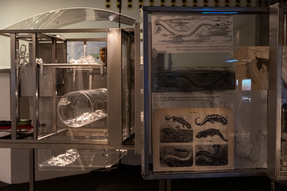 
             Part de l’exposició «Lygophilia», a l’edifici Teatre del CCCB.
             Autor: Jorge Perez Aldana
             Mostra els detalls de la imatge Part de l’exposició «Lygophilia», a l’edifici Teatre del CCCB.
             