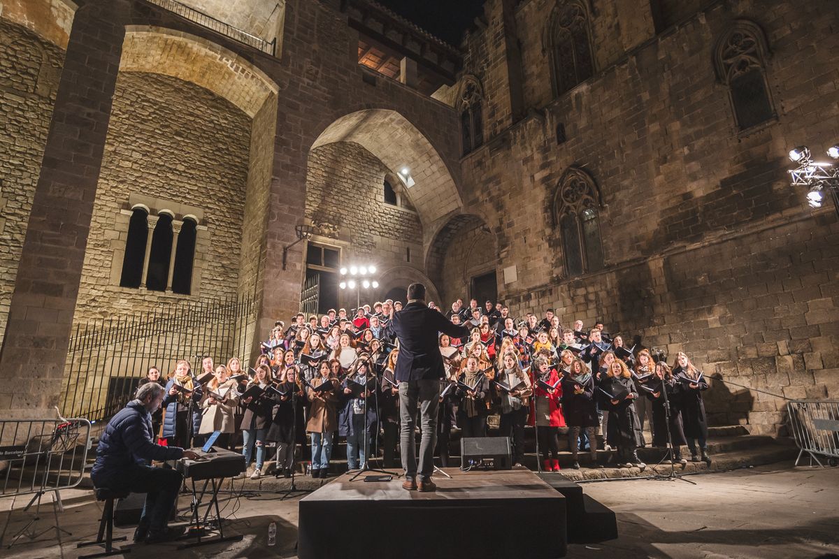 <div class='imageHoverDetail'>
             <p class='imageHoverTitle twoLineBreak'>Concert de Nadal de l'Orfeó Català a la plaça del Rei amb Pau Casan al piano ...</p>
             <p class='imageHoverAutor oneLineBreak'>Autor: Xavi Torrent</p>
             <button class='imageHoverBtn'>Mostra els detalls de la imatge <span class='sr-only'>Concert de Nadal de l'Orfeó Català a la plaça del Rei amb Pau Casan al piano ...</span></button>
             </div>