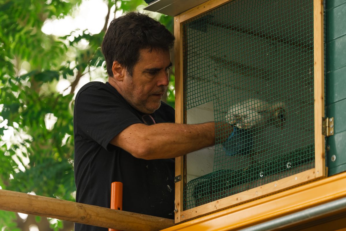 <div class='imageHoverDetail'>
             <p class='imageHoverTitle twoLineBreak'>Un home fica una òliba a una gàbia per a la reintroducció local de l’espèci...</p>
             <p class='imageHoverAutor oneLineBreak'>Autor: Isaac Carbonell</p>
             <button class='imageHoverBtn'>Mostra els detalls de la imatge <span class='sr-only'>Un home fica una òliba a una gàbia per a la reintroducció local de l’espèci...</span></button>
             </div>