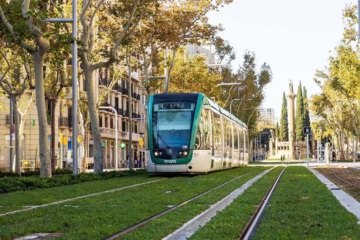 
             Tramvia durant la marxa en blanc pel nou tram de la Diagonal, amb la plaça de...
             Autor: Sortkat
             Mostra els detalls de la imatge Tramvia durant la marxa en blanc pel nou tram de la Diagonal, amb la plaça de...
             