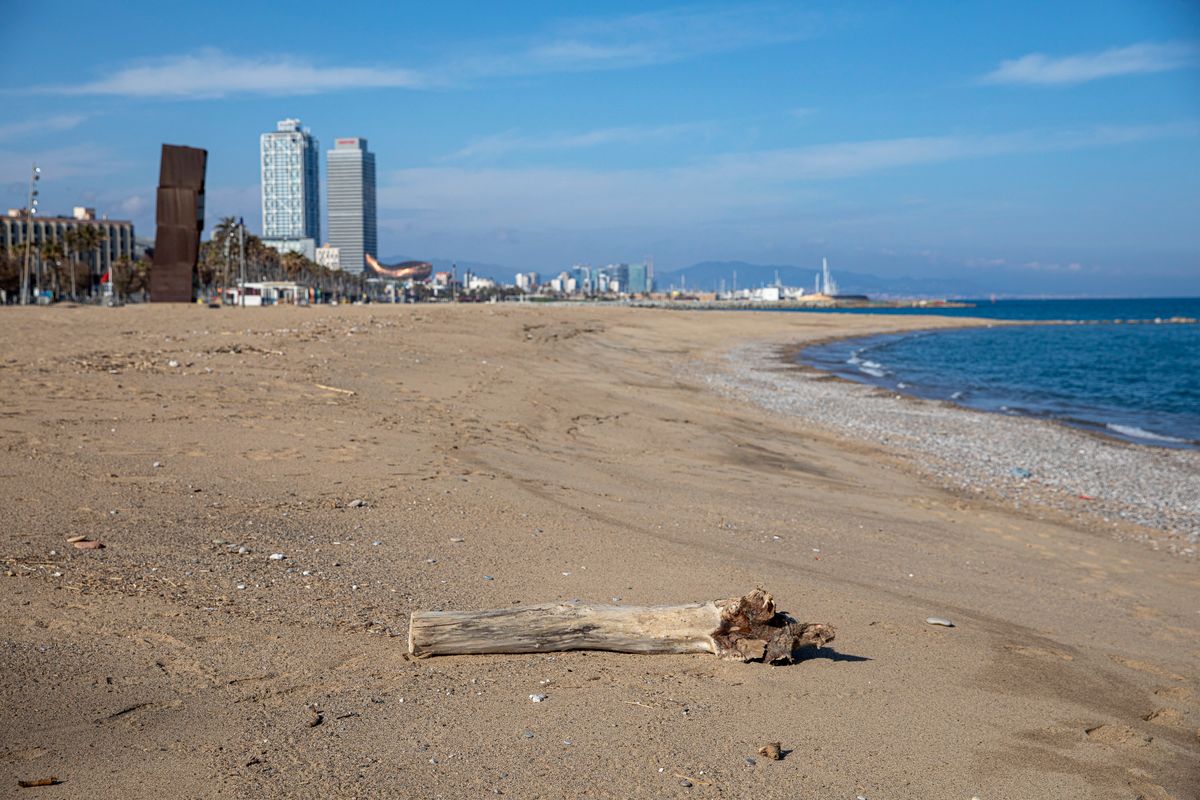<div class='imageHoverDetail'>
             <p class='imageHoverTitle twoLineBreak'>Platja de Sant Miquel amb la torre Mapfre i de L’Estel ferit al fons. En prim...</p>
             <p class='imageHoverAutor oneLineBreak'>Autor: Edu Bayer</p>
             <button class='imageHoverBtn'>Mostra els detalls de la imatge <span class='sr-only'>Platja de Sant Miquel amb la torre Mapfre i de L’Estel ferit al fons. En prim...</span></button>
             </div>