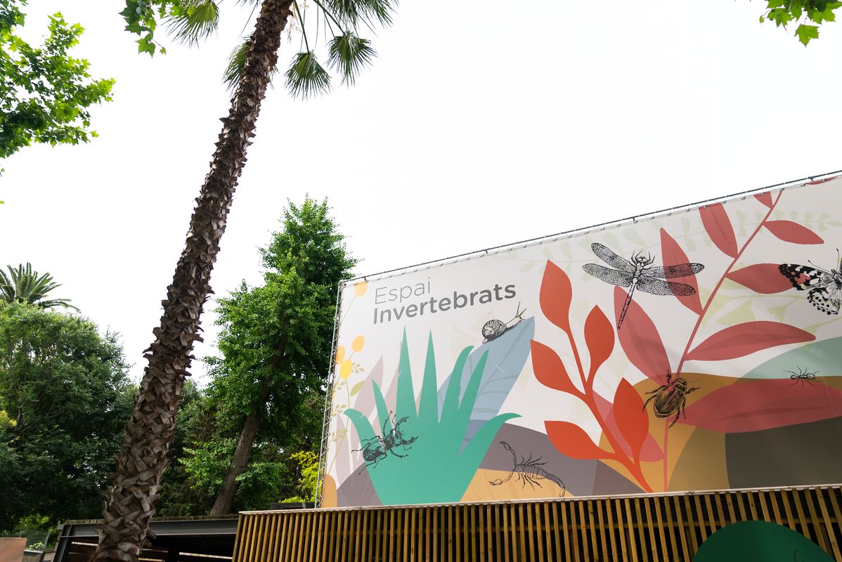 <div class='imageHoverDetail'>
             <p class='imageHoverTitle twoLineBreak'>Rètol a la façana del nou espai d’invertebrats del Zoo de Barcelona</p>
             <p class='imageHoverAutor oneLineBreak'>Autor: Àlex Losada</p>
             <button class='imageHoverBtn'>Mostra els detalls de la imatge <span class='sr-only'>Rètol a la façana del nou espai d’invertebrats del Zoo de Barcelona</span></button>
             </div>