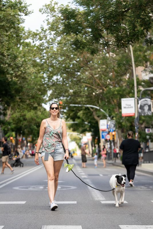 <div class='imageHoverDetail'>
             <p class='imageHoverTitle twoLineBreak'>Una noia passeja amb el seu gos pel carrer de Sants durant la jornada "Obrim ...</p>
             <p class='imageHoverAutor oneLineBreak'>Autor: Àlex Losada</p>
             <button class='imageHoverBtn'>Mostra els detalls de la imatge <span class='sr-only'>Una noia passeja amb el seu gos pel carrer de Sants durant la jornada "Obrim ...</span></button>
             </div>