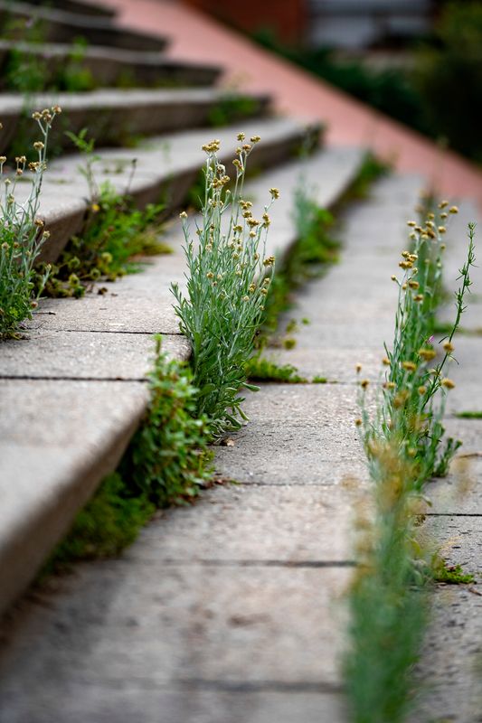 <div class='imageHoverDetail'>
             <p class='imageHoverTitle twoLineBreak'>Escales al parc Central de Nou Barris on ja comencen a créixer algunes plante...</p>
             <p class='imageHoverAutor oneLineBreak'>Autor: Laura Guerrero</p>
             <button class='imageHoverBtn'>Mostra els detalls de la imatge <span class='sr-only'>Escales al parc Central de Nou Barris on ja comencen a créixer algunes plante...</span></button>
             </div>