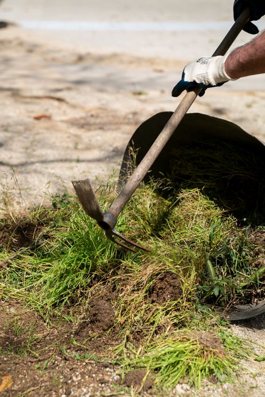 <div class='imageHoverDetail'>
             <p class='imageHoverTitle twoLineBreak'>Un dels jardiners omple un cistell amb les herbes que arrenca amb l'aixada</p>
             <p class='imageHoverAutor oneLineBreak'>Autor: Mariona Gil</p>
             <button class='imageHoverBtn'>Mostra els detalls de la imatge <span class='sr-only'>Un dels jardiners omple un cistell amb les herbes que arrenca amb l'aixada</span></button>
             </div>