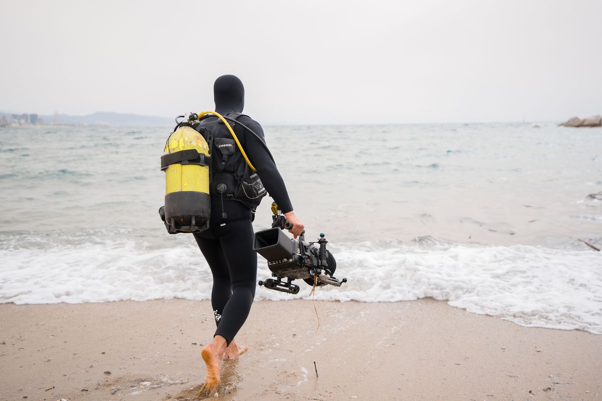 
             Un submarinista entra en el mar con una cámara para registrar la limpieza de ...
             Autor: Sortkat
             Ver los detalles de la imagen Un submarinista entra en el mar con una cámara para registrar la limpieza de ...
             