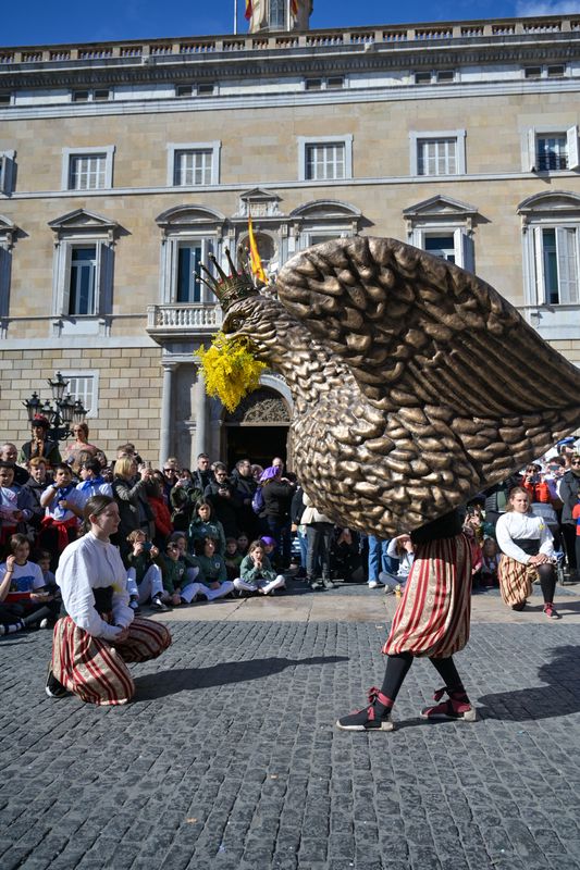 
             Baile de la Àliga de Barcelona en las Fiestas de Santa Eulàlia 2025
             Autor: Albert Canalejo
             Ver los detalles de la imagen Baile de la Àliga de Barcelona en las Fiestas de Santa Eulàlia 2025
             