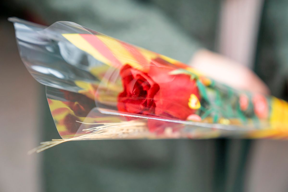 <div class='imageHoverDetail'>
             <p class='imageHoverTitle twoLineBreak'>Una de les roses distribuïdes per l’Ajuntament als quioscos de Diverscoop amb...</p>
             <p class='imageHoverAutor oneLineBreak'>Autor: Clara Soler Chopo</p>
             <button class='imageHoverBtn'>Mostra els detalls de la imatge <span class='sr-only'>Una de les roses distribuïdes per l’Ajuntament als quioscos de Diverscoop amb...</span></button>
             </div>