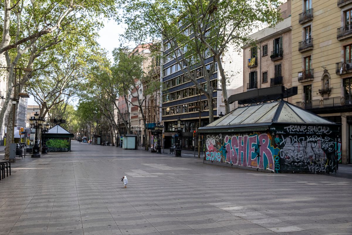 <div class='imageHoverDetail'>
             <p class='imageHoverTitle twoLineBreak'>Tram de la Rambla totalment buit amb els quioscos tancats. Una gavina s'hi pa...</p>
             <p class='imageHoverAutor oneLineBreak'>Autor: Edu Bayer</p>
             <button class='imageHoverBtn'>Mostra els detalls de la imatge <span class='sr-only'>Tram de la Rambla totalment buit amb els quioscos tancats. Una gavina s'hi pa...</span></button>
             </div>