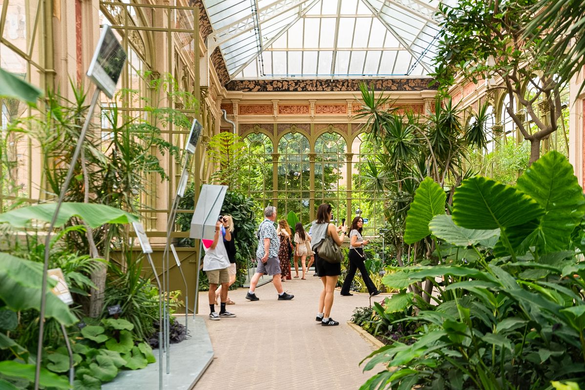 <div class='imageHoverDetail'>
             <p class='imageHoverTitle twoLineBreak'>Gent passejant per l’Hivernacle amb motiu de la Festa de la Ciència 2024.</p>
             <p class='imageHoverAutor oneLineBreak'>Autor: Sortkat</p>
             <button class='imageHoverBtn'>Mostra els detalls de la imatge <span class='sr-only'>Gent passejant per l’Hivernacle amb motiu de la Festa de la Ciència 2024.</span></button>
             </div>