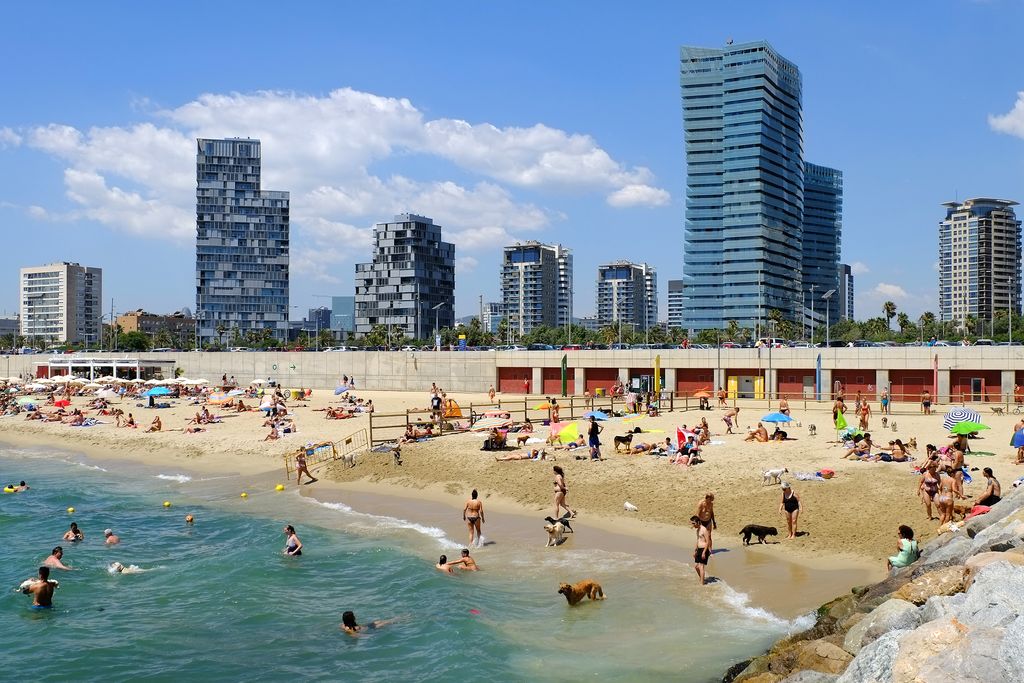 Platja de Llevant amb gossos