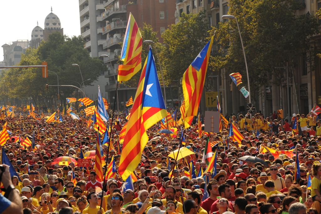 Diada de Catalunya 2014. Manifestants per la Diagonal