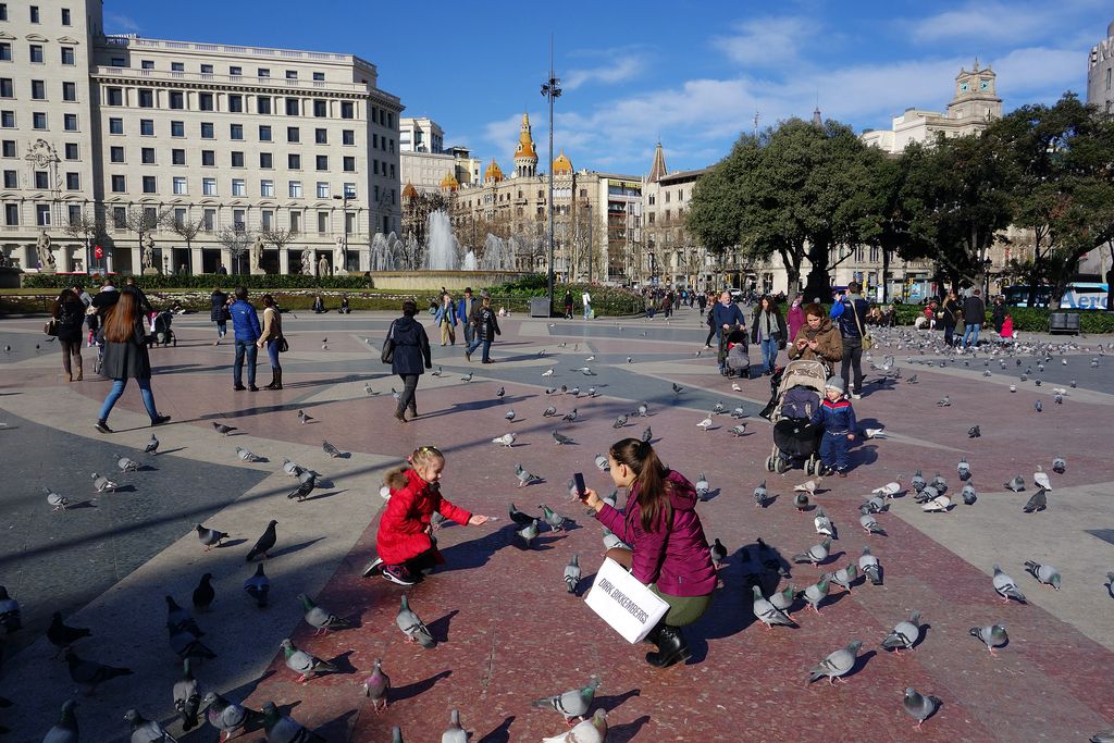 Plaça de Catalunya. Centre