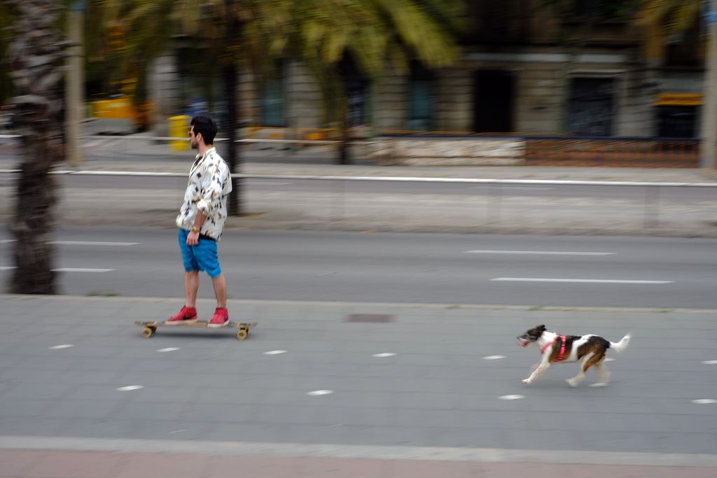 Patinador i gos