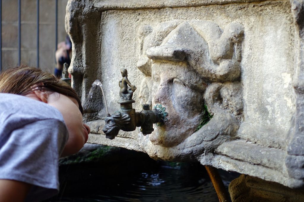 Catedral de Barcelona. Font d'aigua