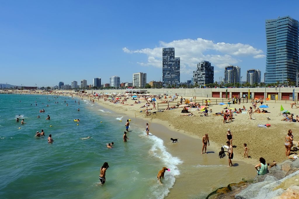 Platja de Llevant amb gossos. Àrea per a banyistes acompanyats de gossos