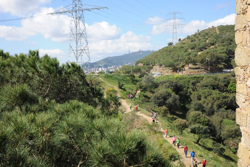 Camins al puig de les Roquetes des de Torre Baró