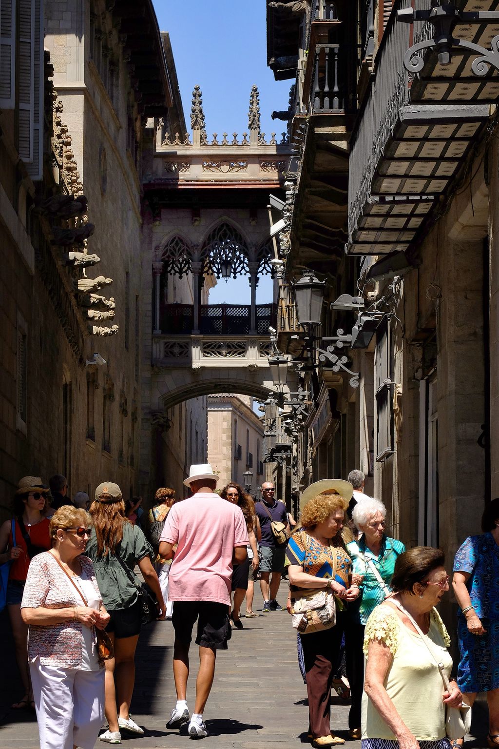 Carrer del Bisbe. Arc