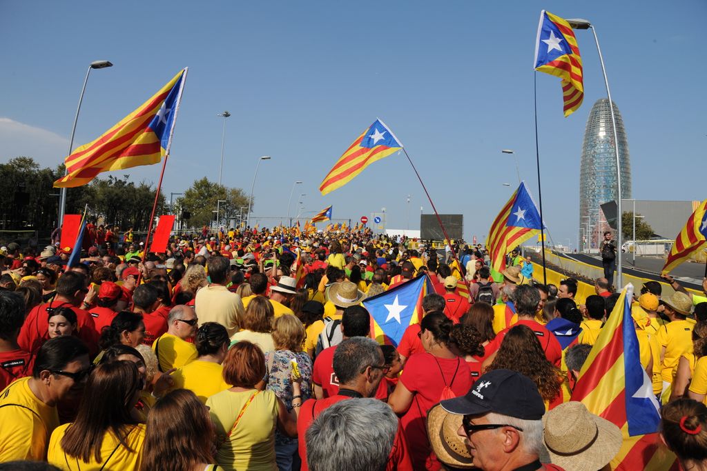 Diada de Catalunya 2014. Manifestants per la Diagonal