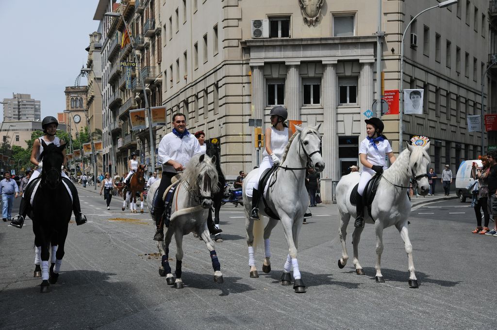 17a Trobada Nacional de Tres Tombs. Desfilada pel carrer de Pelai