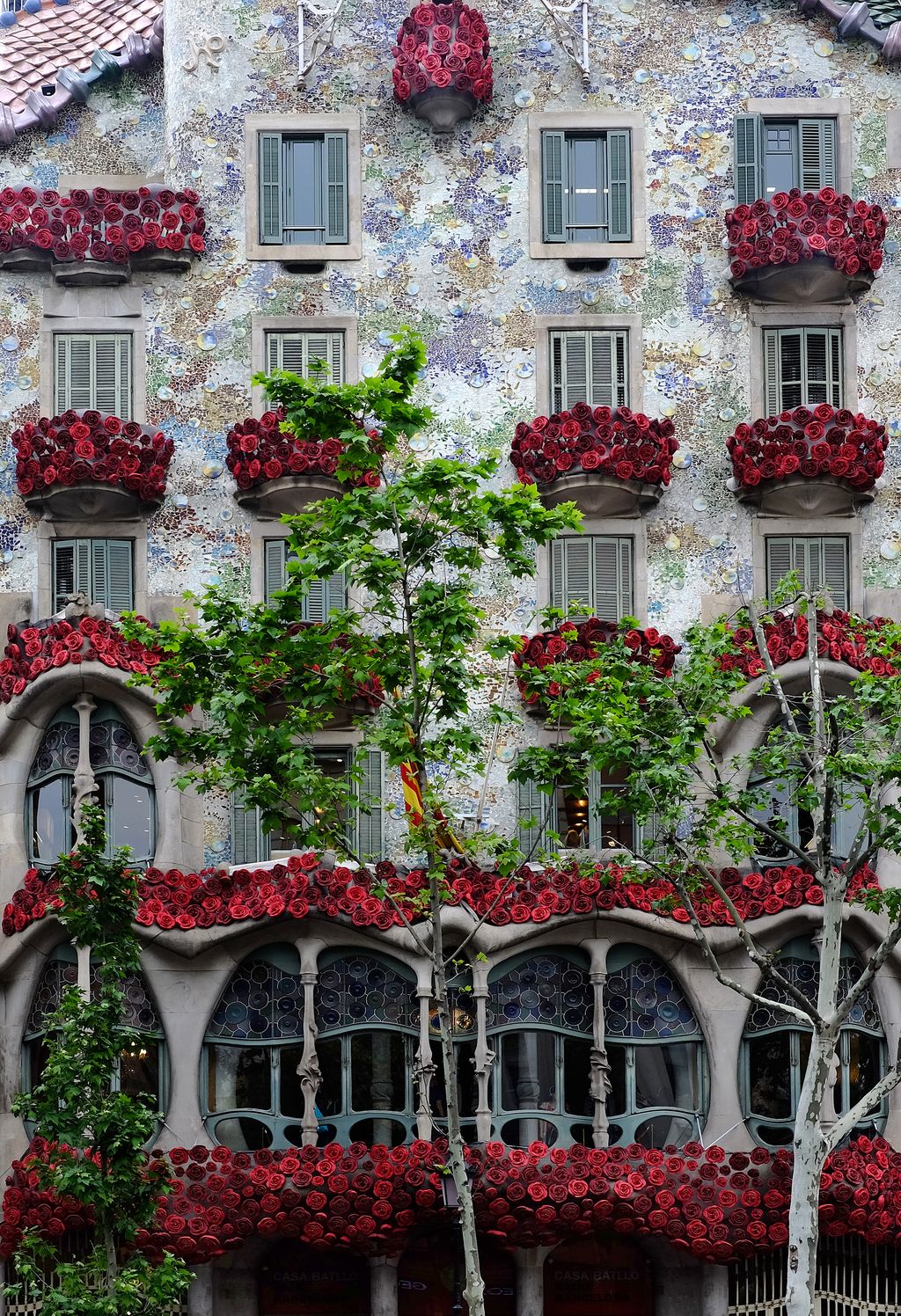 Diada de Sant Jordi 2016. Façana de la Casa Batlló decorada amb roses