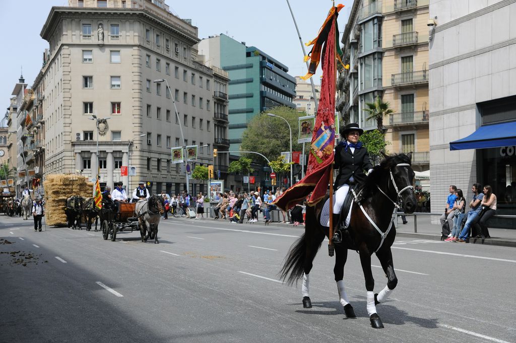 17a Trobada Nacional de Tres Tombs. Genets i carros pel carrer de Pelai