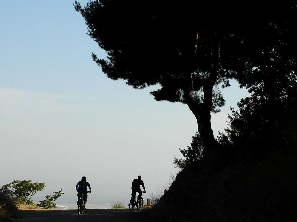 Ciclistes pel parc de Collserola