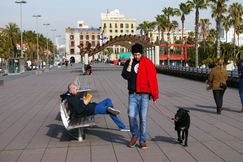 Jove passejant un gos pel Port