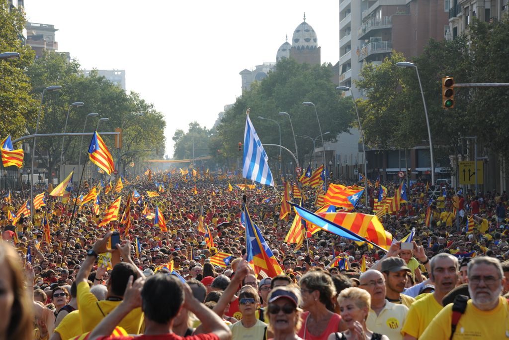 Diada de Catalunya 2014. Manifestació independentista per l'avinguda Diagonal