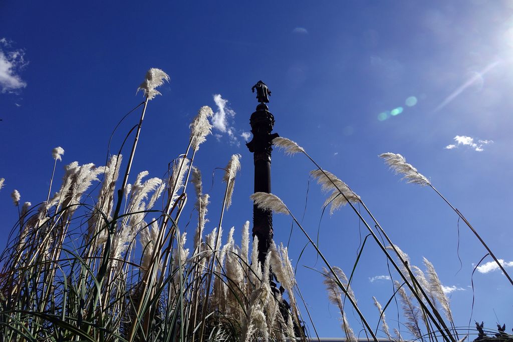 Festa del Roser. Portal de la Pau amb el Monument a Cristòfor Colom