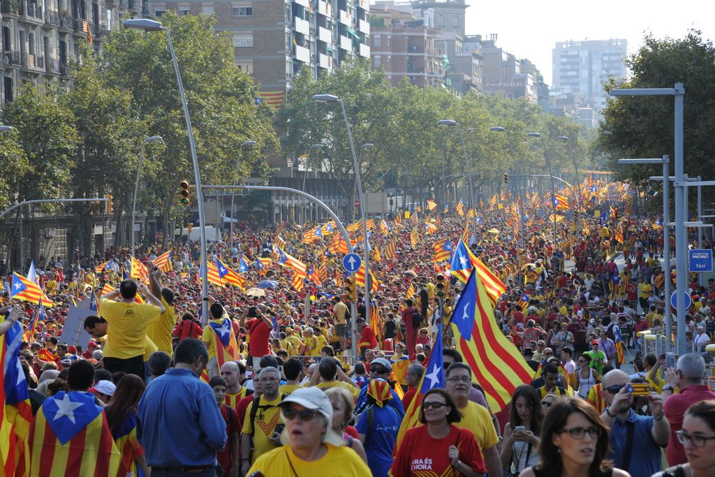 Diada de Catalunya 2014. Manifestants per la Diagonal