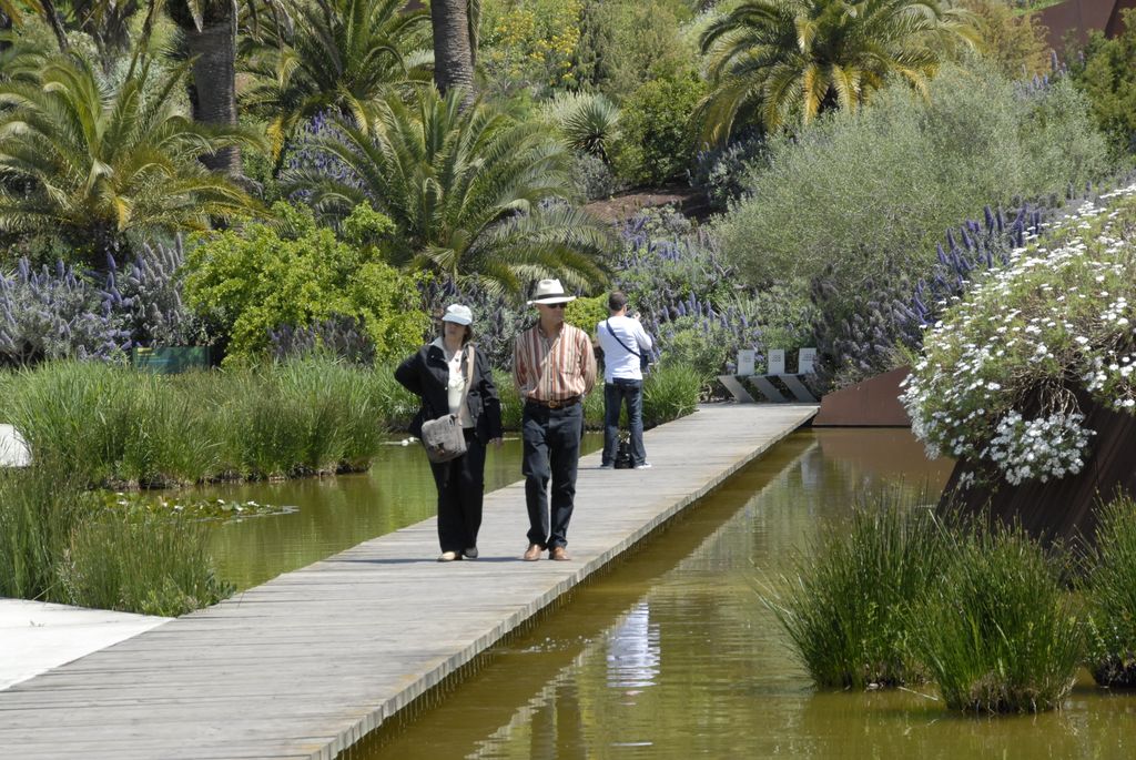 Jardí Botànic