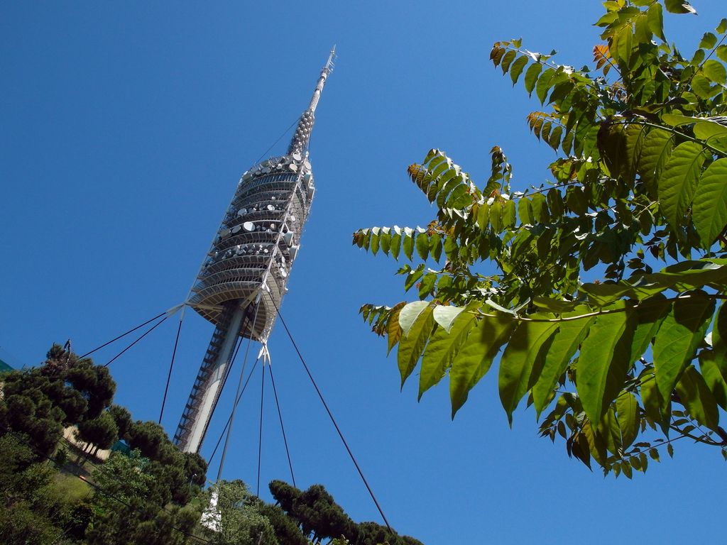 Torre de Collserola