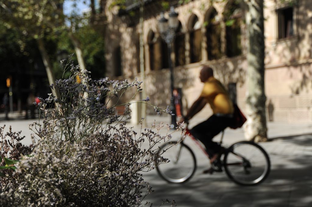 Diputació de Barcelona - Casa Serra. Ciclista passant per davant