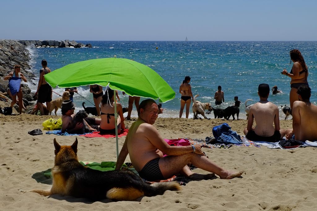 Platja de Llevant amb gossos