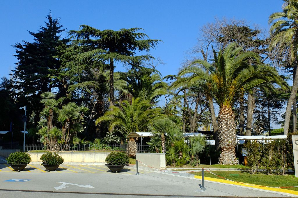 Jardins de Torre Melina. Palmeres