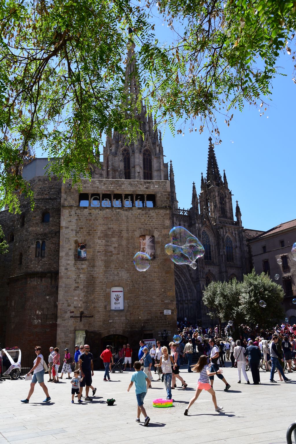 Avinguda de la Catedral de Barcelona. Vianants i espectacle de carrer de bombolles