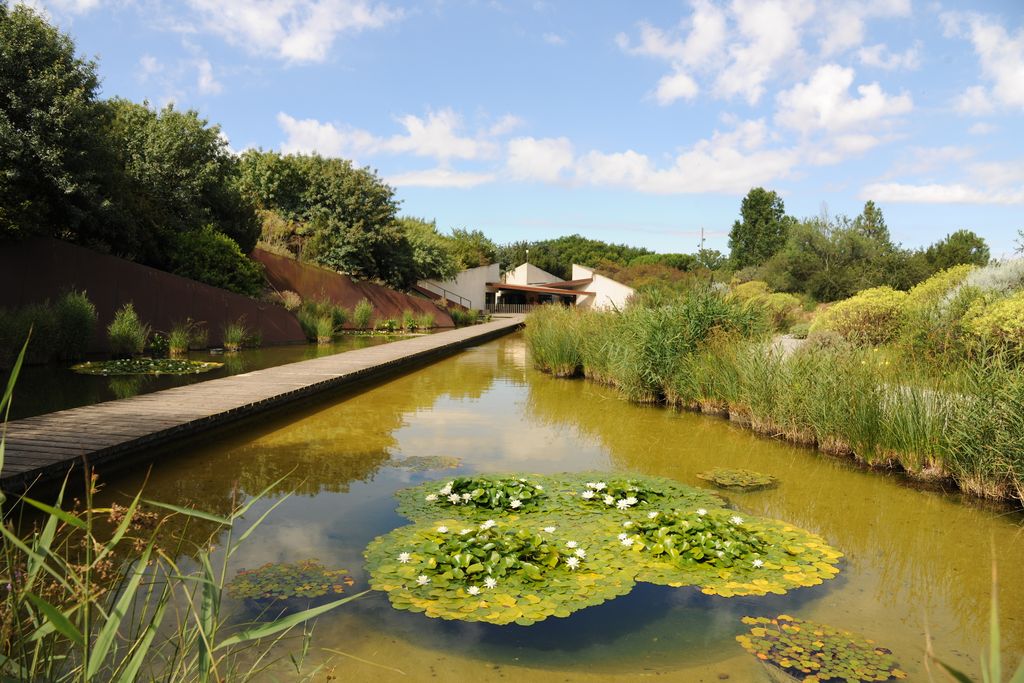 Jardí Botànic. Llac artificial amb nenúfars