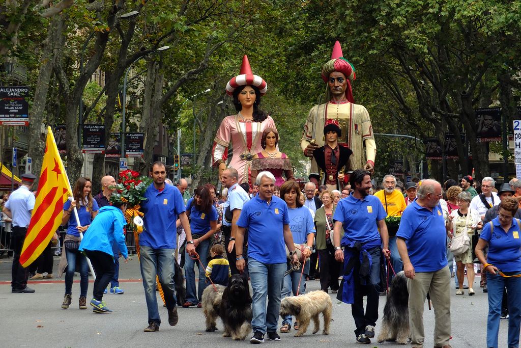 Ofrena floral de la Diada. Gegants