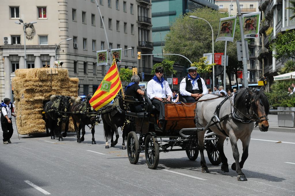 17a Trobada Nacional de Tres Tombs. Desfilada pel carrer de Pelai