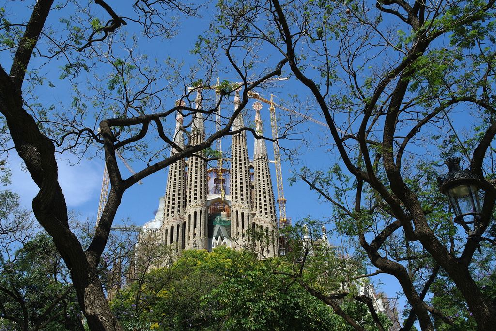 Sagrada Família. Torres vistes entre uns arbres