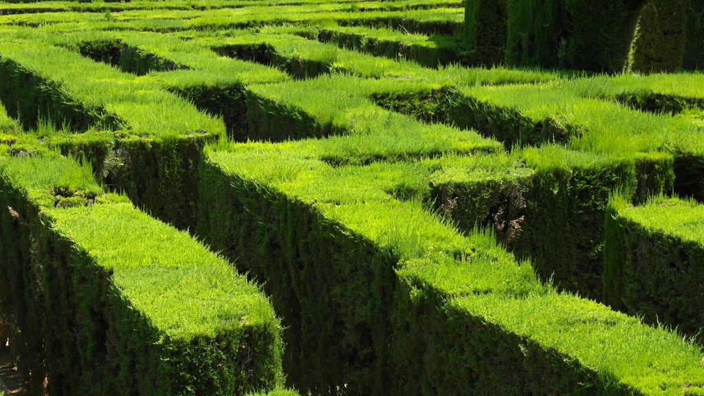 Parc del Laberint d'Horta. Parets de vegetació del laberint