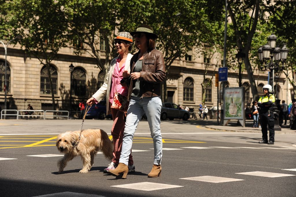 10a Passejada amb Barret